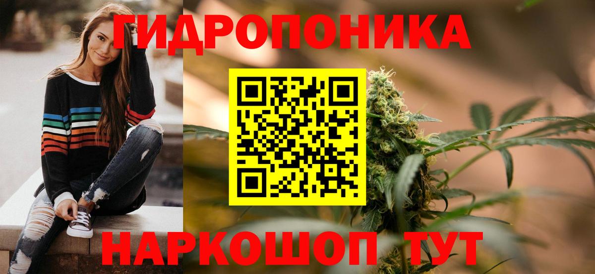Сосновый Бор  Бошки Шишки конопля  Конопля тримм  Бошки Шишки индика  Вход с VPN 